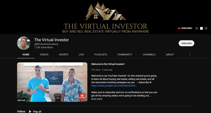 The Virtual Investor