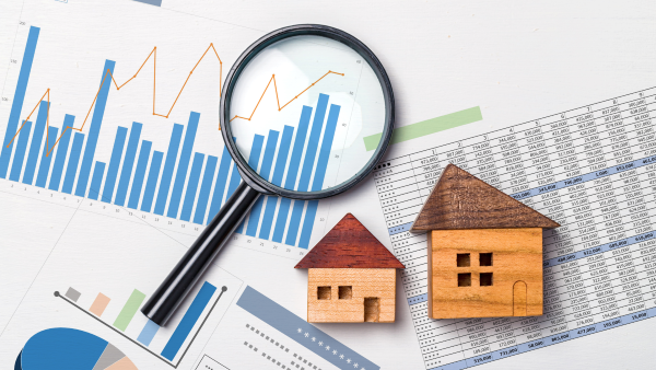 Real Estate Analysis Software